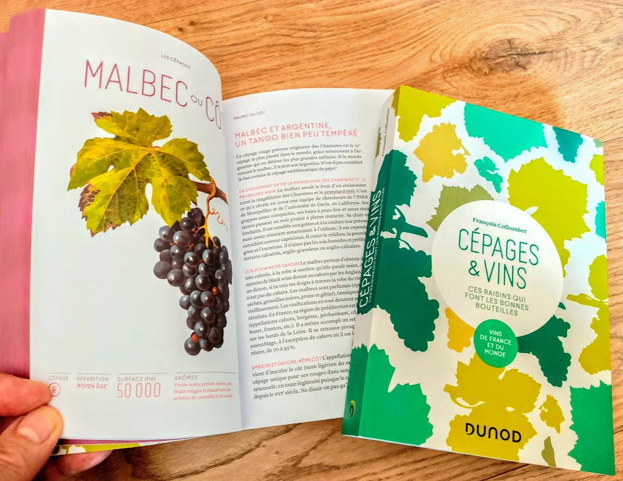 Photo du livre Cépages et vins de François Collombet Éditions Dunod